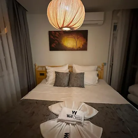 Wolf * Antalya