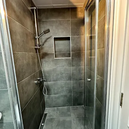 Wolf Apartment